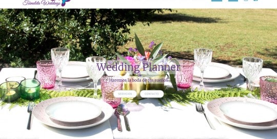 Tximeleta Weddings - Wedding Planner Portfolio